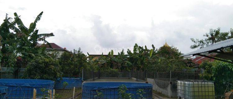 Tanah 486 m² SHM Bekas Kolam  1