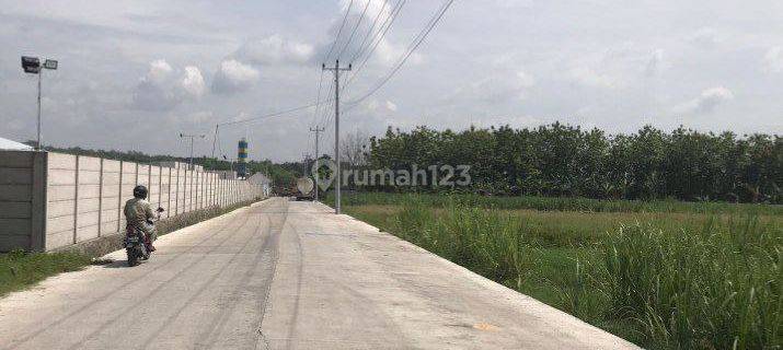 Tanah Banaran Sambungmacan Sragen Zona Merah Harga Terjangkau (JH 1