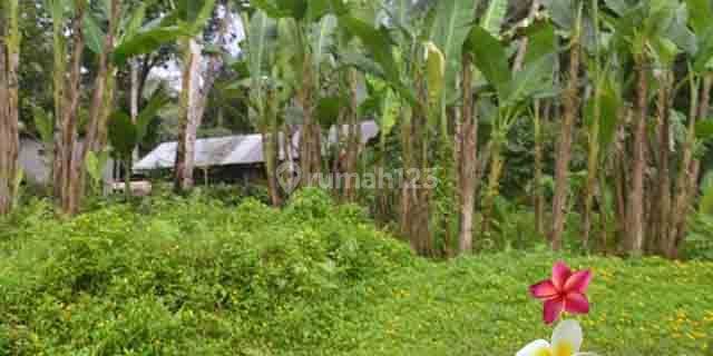 Jtu 1029, Land in Payangan Bali with an area of 16 acres suitable for a villa 1