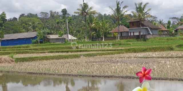 Jtu 1020, Tanah Cocok Villa Luas 10 Are di Tampaksiring Bali 1