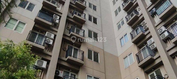 Sewa Apartemen Podomoro Golf View 2 Kamar Tidur Termurah 10 Jt 1