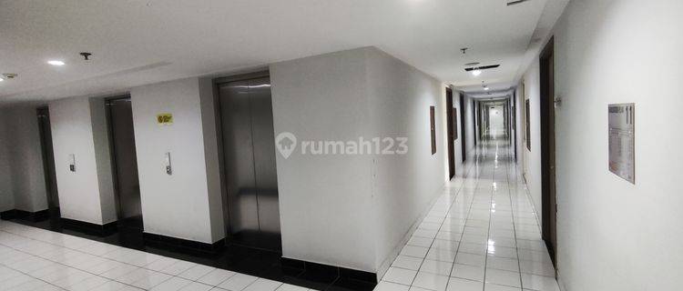 Sewa Apartemen Podomoro Golf View 10 Juta thn 2 Kamar Tidur 1