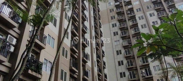 Sewa Apartemen Podomoro Golf View 2 Kamar Tidur Termurah 11 Jt 1