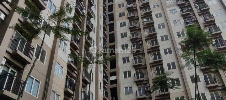 Sewa Apartemen Podomoro Golf View 2 Kamar Tidur Termurah 10 Jt 1