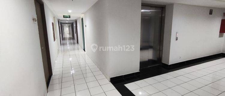 Sewa Apartemen Podomoro Golf View 10 Juta thn 2 Kamar Tidur 1