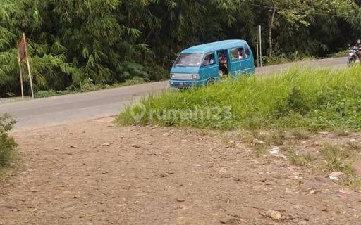 Tanah Strategis Hanya 125 ribu /M2 Nepel jalan Propensi Dramaga Leuwpiang Bogor Dekat kampus  IPB Bogor jawa barat  1