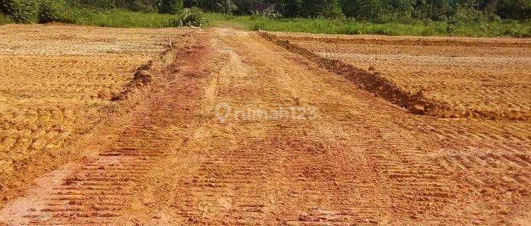 Kaplingan, Pandau Siak Hulu, Jalan 5 Meter Lahan Datar. 1