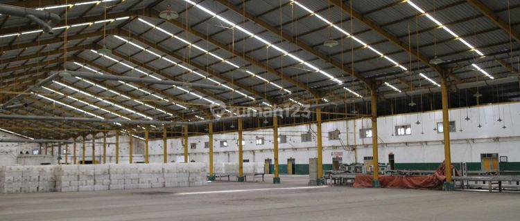 Sewa Gudang Cerme Gresik Lengkap Dengan Loading Dock 1