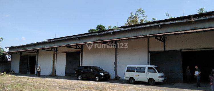 Sewa Gudang Kaliwates Jember, Cocok Untuk Distributor 1