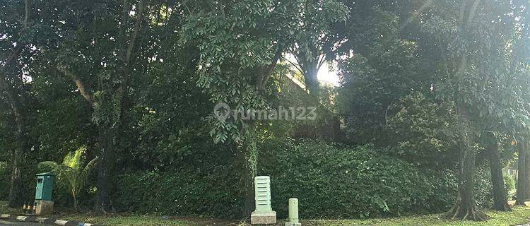 RUMAH TUA HARGA INVESTOR HITUNG TANAH CUMA 12jt/m² POSISI BAGUS 1