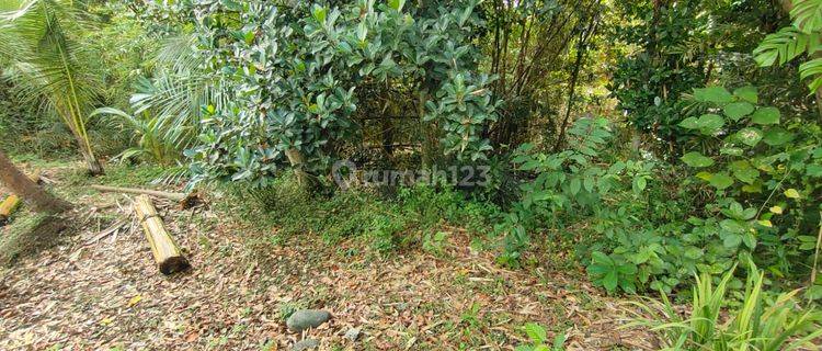 Tanah:1280 M2(12,8 are) los sungai super langka & murah siap Bangun Di Kerobokan Bali  1
