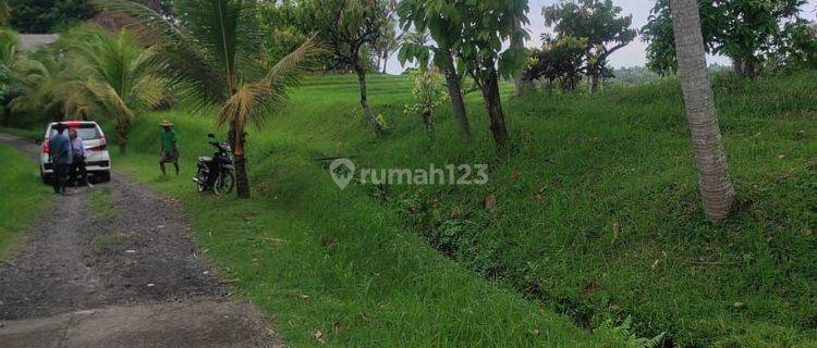 Land: 10,000 M2 (1 hectare) super rare ready to build Near Balian beach, Soka Antap Village Tabanan Bali  1