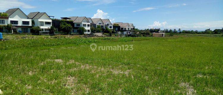 Land: 1500 M2 (15 are) full sea view & super rare rice field view ready to build on Mengening beach Cemagi Bali 1