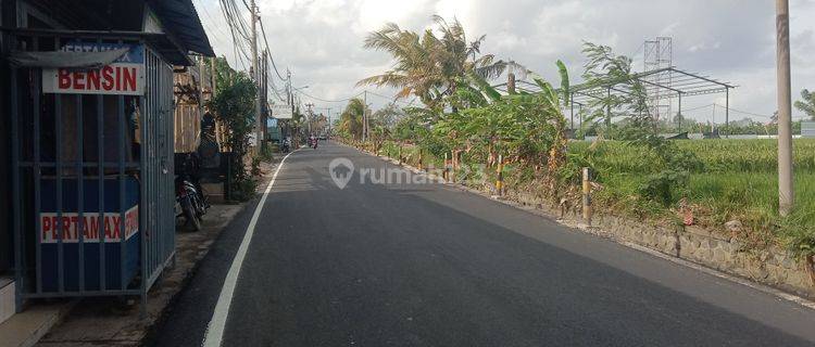 Land: 1340 M2 (13.4 are) super rare ready to build On the main road of Tumbak Bayuh Badung Bali  1