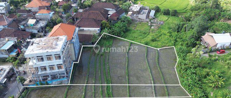 Tanah :1000 M2(10 are) los sungai view sawah super langka siap Bangun Di jalan padonan /Beringin Dekat  kawasan wisata Canggu Bali  1