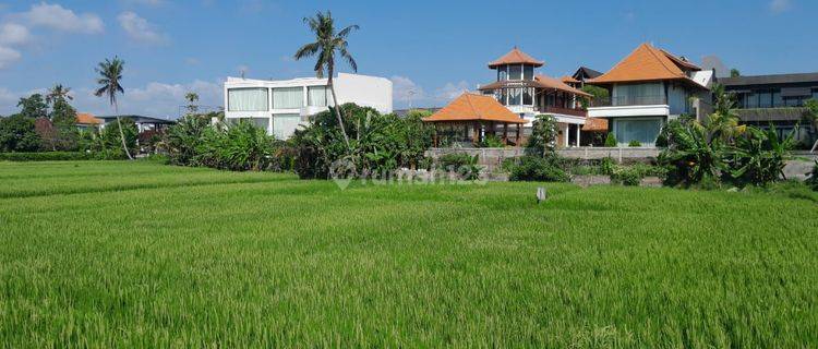 Tanah:2000 M2(20 Are ) Super Langka Siap Di Babakan Canggu Bali 1