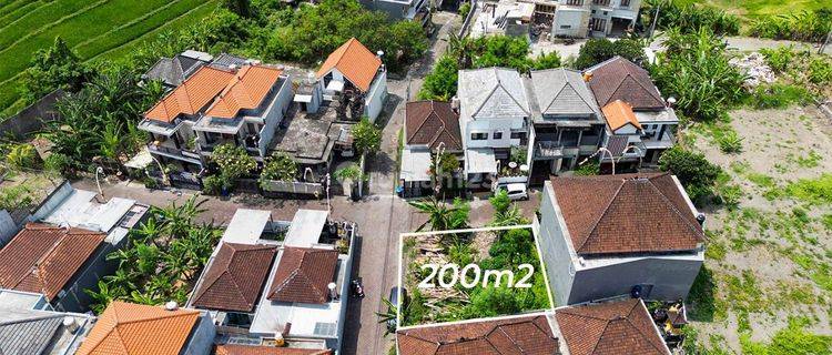 Land : 200 M2 (2 Are) Super Rare Ready to Build On Jln Padonan / Pengilian Dalung Badung Bali  1