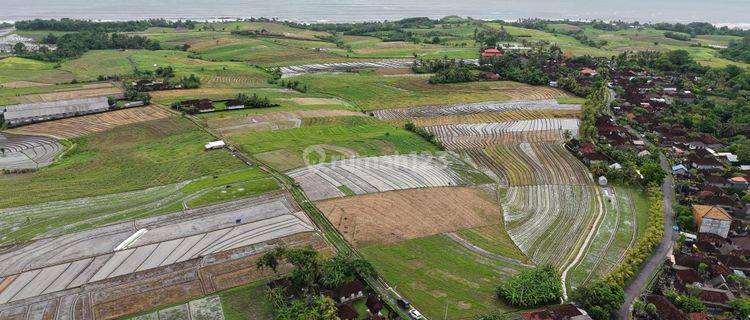 Tanah:3680 M2(36,8 Are) View Laut Siap Bangun Dekat Pantai Kelecung Tabanan Bali  1