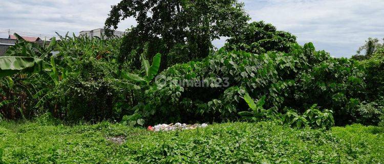 Tanah :200 M2(2 Are) Super Langka Siap Bangun Di Jln Padonan Tibubeneng /Dalung Bali  1