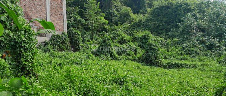 Tanah :371 M2(3,71 Are ) View Sawah & Tegalan Super Langka Siap Bangun Di Babakan Canggu Bali  1