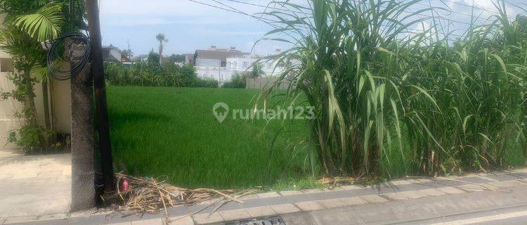 Land: 3100 M2 (31 Are) Super Rare Ready to Build on Berawa Beach Canggu Badung Bali 1