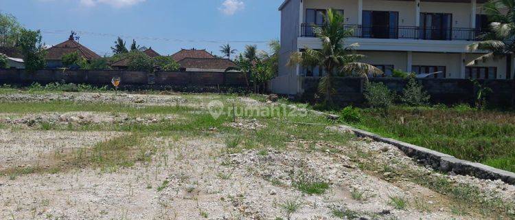 Land: 400 M2 (4 Are) Super Rare Ready to Build Near Luna Beach Club Pantai Nyanyi Tanah Lot Tabanan Bali 1