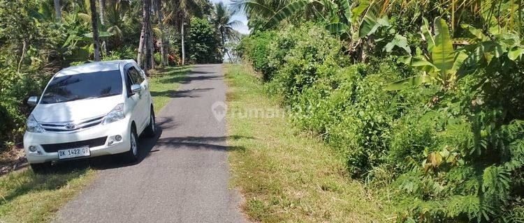 Tanah Kebun View Laut Super Langka Siap Metik Hasil Atau Investasi Di Rambut Siwi Jembrana ( Negara Bali) 1