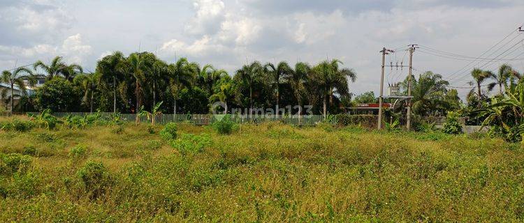 LAHAN  INDUSTRI SUDAH PAGAR  KELILING, BEBAS BANJIR  DEKAT PELABUHAN KENDAL,Bisa dibangun komplek industri/gudang 1