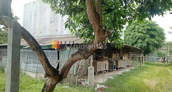 Kavling Plus Rumah Walet di Getasrejo Grobogan 1