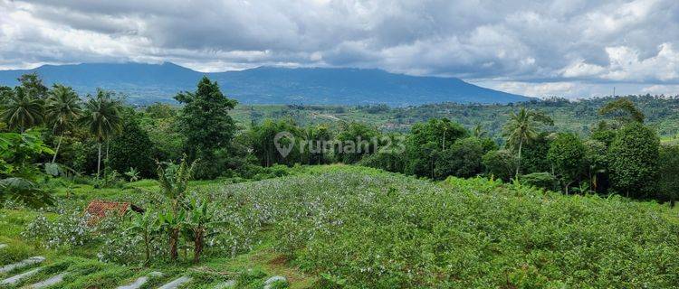 Tanah kebun jambu kristal seluas 19000m².dekat ke pintu toll sukabumi 1