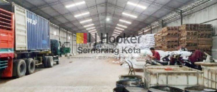 Gudang Dengan Halaman Dan Bangunan Yang Luas di Kaliwungu Kendal 1