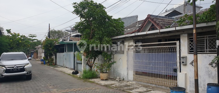 HOUSE FOR QUICK SALE SEMARANG INDAH SHM land area 149 m2 1