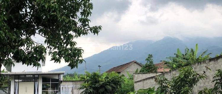 Tanah kebun dgn Rumah cabin fully furnish  dan kebun buah di Ungaran Nyatnyono, udah pagar keliling tinggi 3 meter , ada view gunung  1