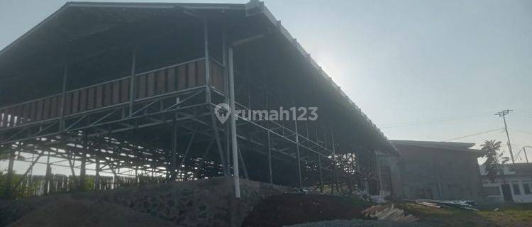 Bisnis Menguntungkan Pabrik Ayam Petelur Luas 1.6 Hektar Di Rancakalong. Sumedang 1