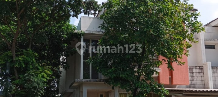 For Rent Cluster House Volta Scientia Garden | 4+1 Bedrooms | Land Area 250M2 1