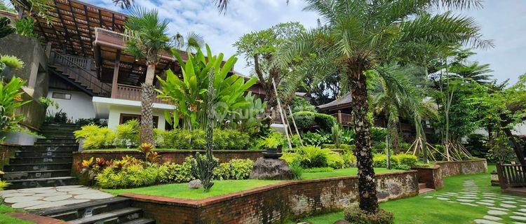 Jual Villa Cantik di Pantai Berawa bali, Homie Greenie 1