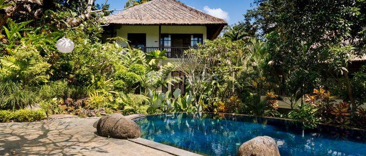 Nyambu Luxury Villa Ricefield, Jungle And River Views 1