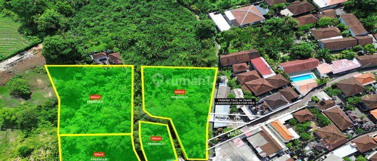 Tanah Di Canggu Padonan 10 Menit Ke Pantai Berawa Harga Dibawah Pasaran 1