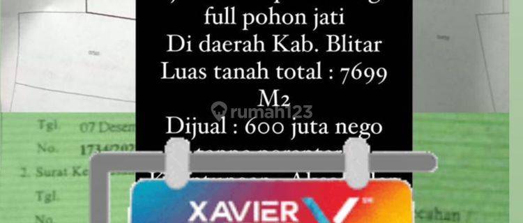 DIJUAL TANAH PERKEBUNAN LUAS FULL POHON JATI BLITAR AD 20 1