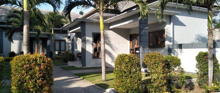 Perancak Freehold Beachfront Villa Complex 1