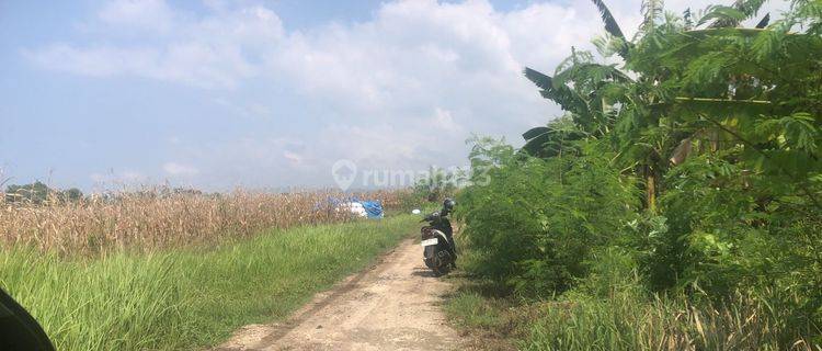 Land Freehold 2955 Sqm Close to the Beach In Tabanan Area 1