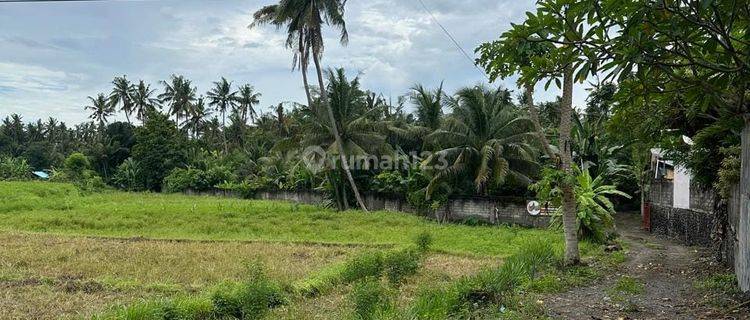 Land Freehold Richfield In Karang Asem Bali 1