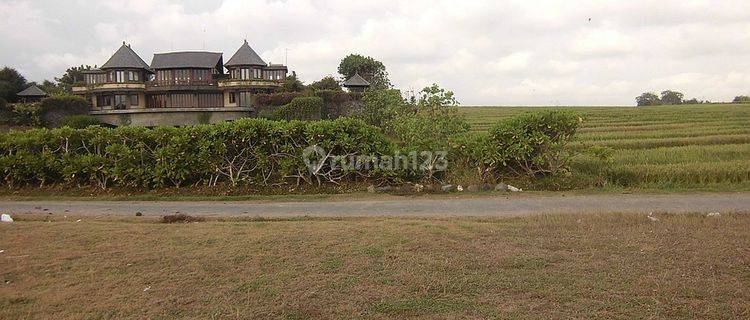 Land For Sale Land 5180 Sqm Beach Front In Tabanan 1