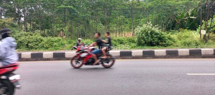 Tanah Untuk Gudang SHM Batang Jawa Tengah 1