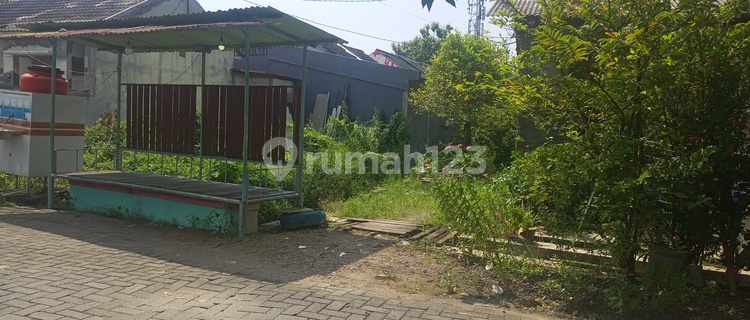 Tanah Untuk Kost Tlogomulyo Pedurungan SHM Semarang 1