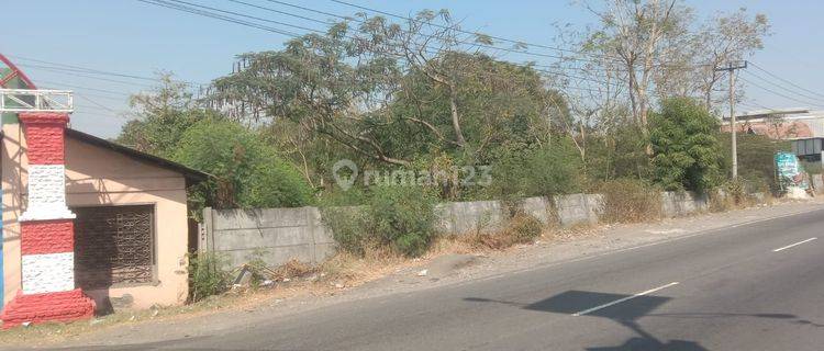 Tanah Siap Bangun Di Jalan Raya Jatibarang-Palimanan Cirebon 1