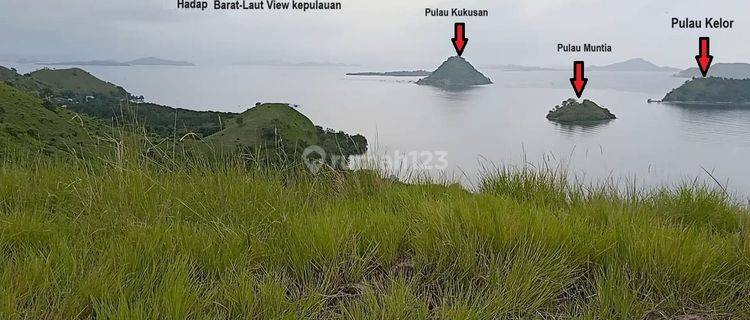 Jarang Ada Tanah View Laut Dan Lembah di Lokasi Pengembangan Wisata Labuan Bajo Desa Macang Tanggar 1