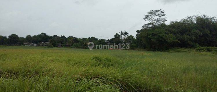 Tanah siap bangun, gudang pabrik, workshop dll 1