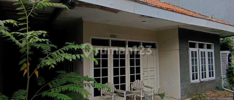 Second-Hand House Needs Renovation 1