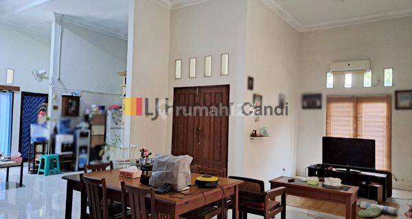 Rumah di Kedungmundu Kompleks Kehutanan Semarang 1